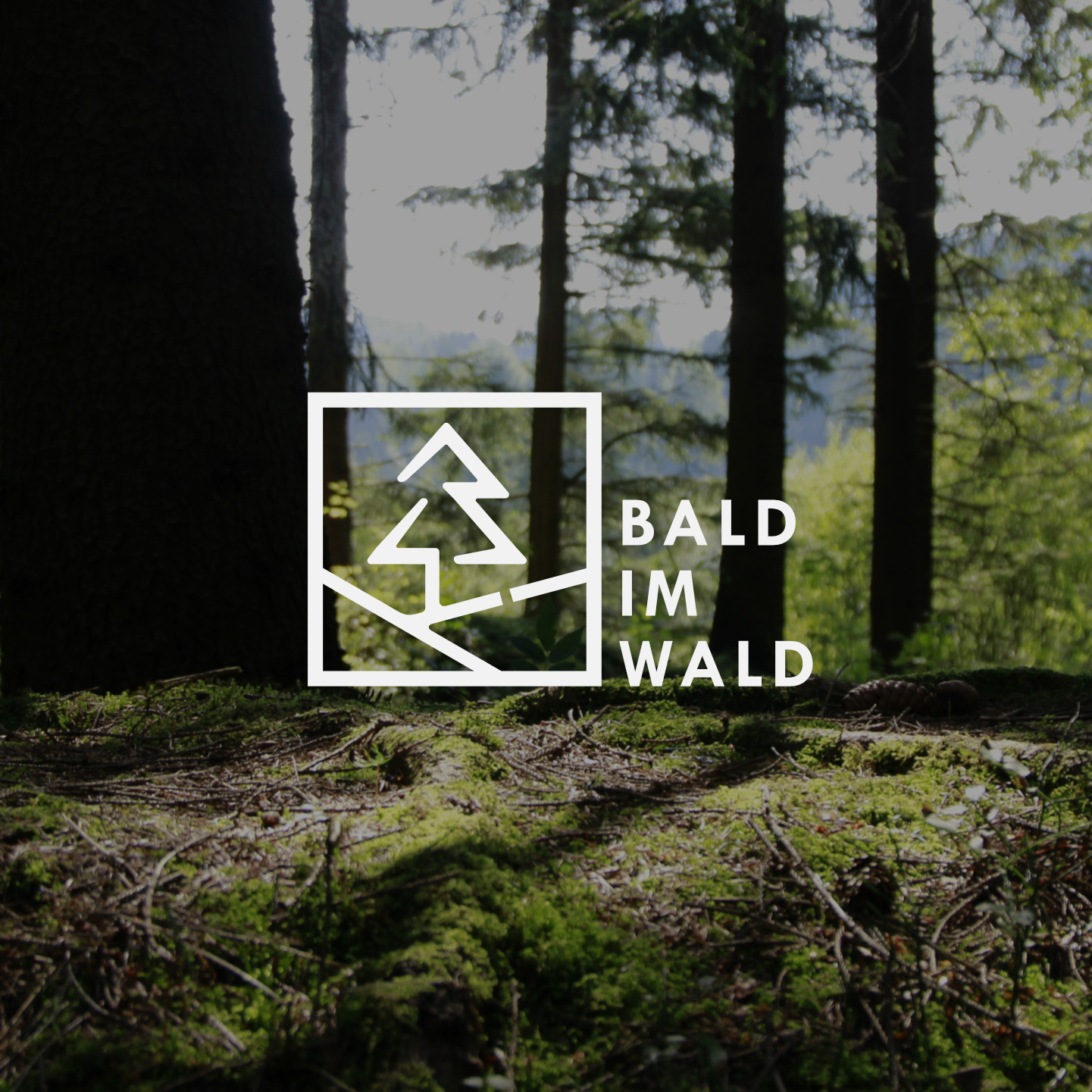 Bald-im-Wald